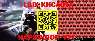 ГАЛЛЮЦИНОГЕННЫЕ ГРИБЫ Волгодонск