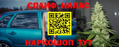 ГАЛЛЮЦИНОГЕННЫЕ ГРИБЫ Волгодонск