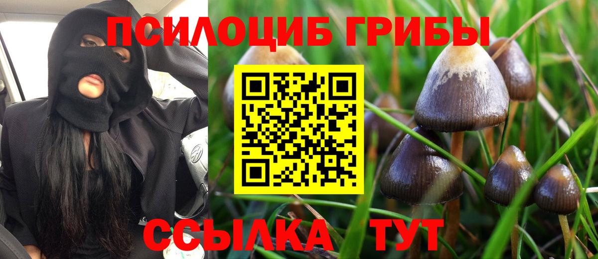 Псилоцибиновые грибы ЛСД  Карабулак 