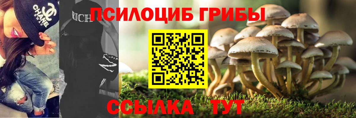 Галлюциногенные грибы Magic Shrooms  Вход с VPN  Карабулак 